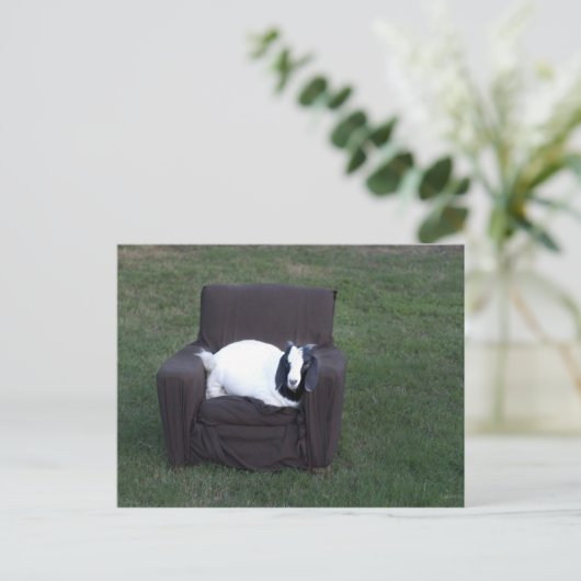 Nur entspannen postkarte (Stehend Vorderseite)