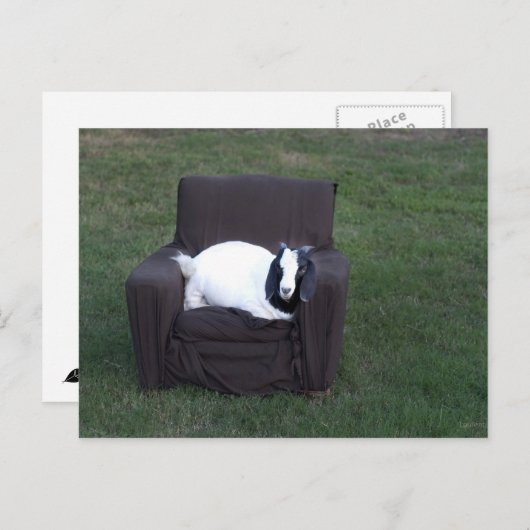 Nur entspannen postkarte (Vorne/Hinten)