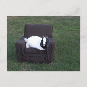 Nur entspannen postkarte