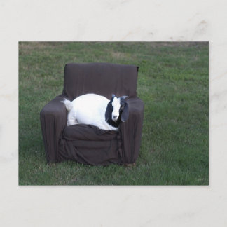 Nur entspannen postkarte