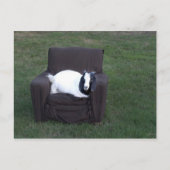 Nur entspannen postkarte (Vorderseite)