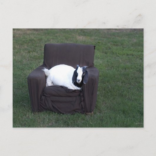 Nur entspannen postkarte (Vorderseite)