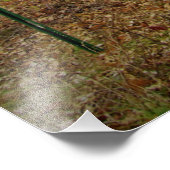 "Nur Ernennung" Fotodruck (Ecke)