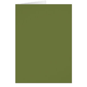 NUR FARBE - olivgrün