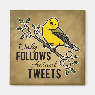Nur folgende tatsächliche Tweetete Magnet