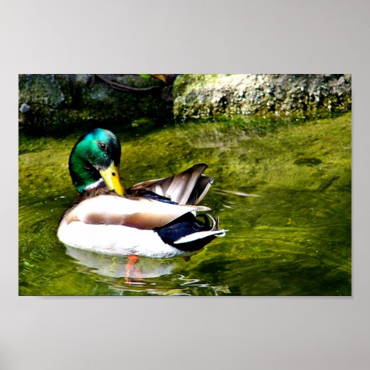 Nur fragen_ poster (Vorne)