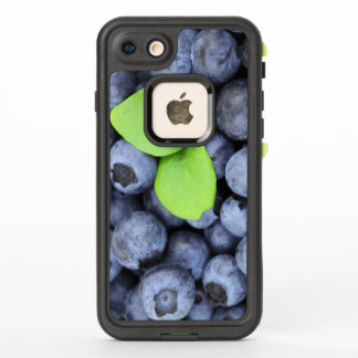 Nur frisch gepflückte delikate Blaubeeren