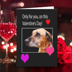 Nur für dich zum Valentinstag Rhodesian Ridgeback Feiertagskarte