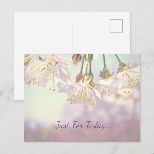 Nur für heute... postkarte (Vorne/Hinten)