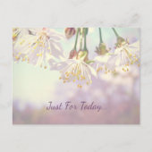 Nur für heute... postkarte (Vorderseite)