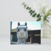 Nur für heute postkarte (Stehend Vorderseite)