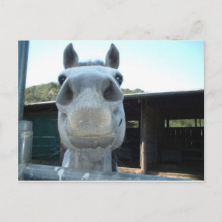 Nur für heute postkarte