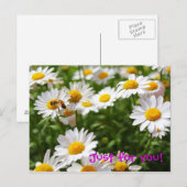 Nur für Sie Postkarte (Vorne/Hinten)