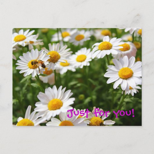 Nur für Sie Postkarte (Vorderseite)