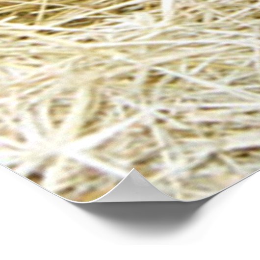 Nur Geboren Poster (Ecke)