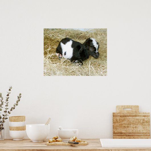 Nur Geboren Poster (Küche)