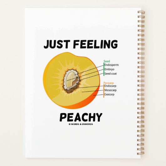 Nur Gefühl Peachy Peach Anatomy Fruit Geek Spaß Planer (Rückseite)