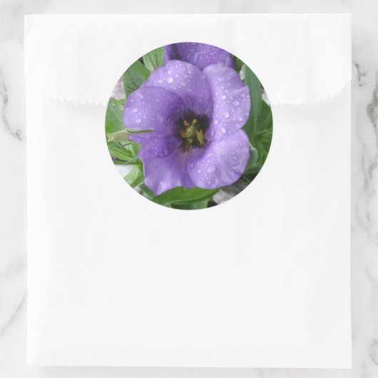 Nur gewässert runder aufkleber (Tasche)