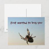 Nur Gewollt, Sie zu Bug Postkarte (Vorne/Hinten)