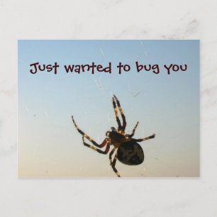 Nur Gewollt, Sie zu Bug Postkarte
