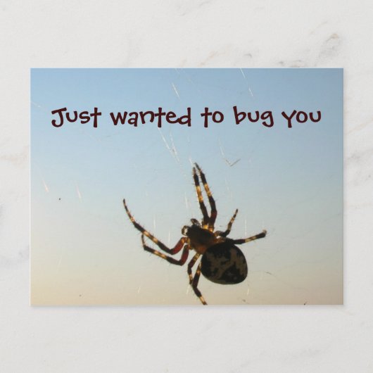 Nur Gewollt, Sie zu Bug Postkarte (Vorderseite)