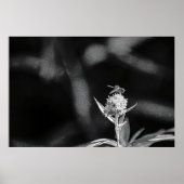 Nur Gold fliegen Poster (Vorne)