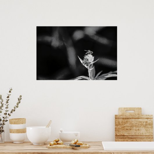 Nur Gold fliegen Poster (Küche)