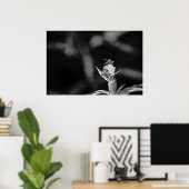 Nur Gold fliegen Poster (Heimbüro)