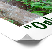 Nur Gott kann einen Baum und eine Tierwelt schaffe Poster (Ecke)