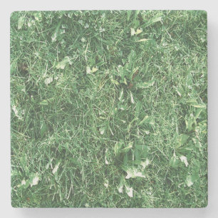 Nur Gras Steinuntersetzer