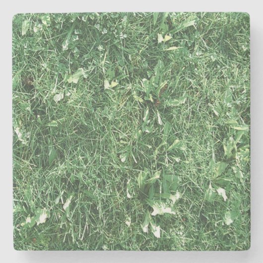 Nur Gras Steinuntersetzer (Vorderseite)