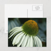 nur Hallo sagen Postkarte (Vorne/Hinten)