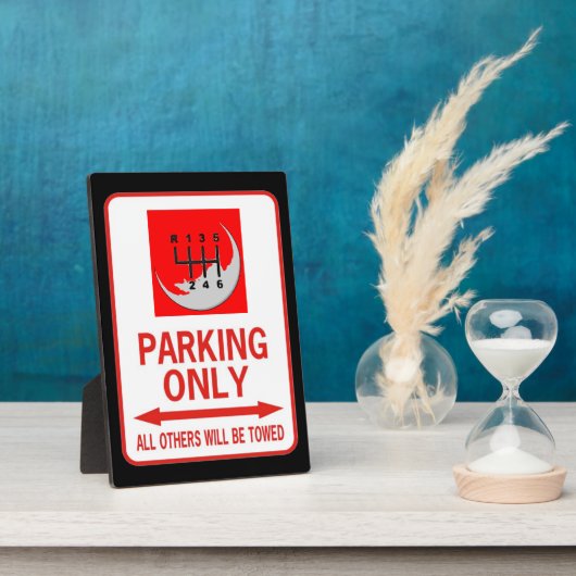 NUR HANDBUCH FOTOPLATTE (Seite)