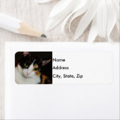 Nur herumhängen (Insitu)