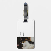 Nur herumhängen gepäckanhänger (Rückseite vertikal)