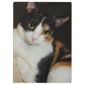 Nur herumhängen klemmbrett (Rückseite)