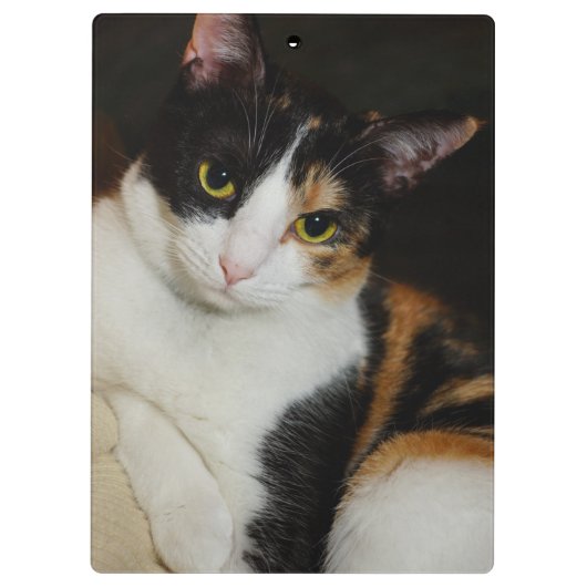 Nur herumhängen klemmbrett (Rückseite)