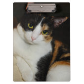 Nur herumhängen klemmbrett (Vorderseite)