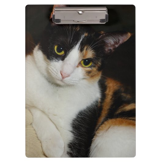 Nur herumhängen klemmbrett (Vorderseite)