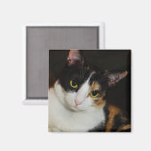 Nur herumhängen magnet (Vorderseite/Rückseite)