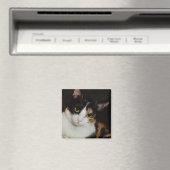 Nur herumhängen magnet (In Situ (Geschirrspüler))