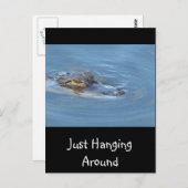 Nur herumhängen postkarte (Vorne/Hinten)