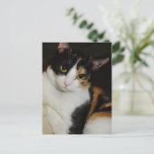 Nur herumhängen postkarte (Stehend Vorderseite)