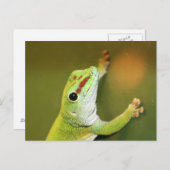 Nur herumhängen postkarte (Vorne/Hinten)