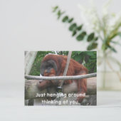 Nur herumhängen und an dich denken. postkarte (Stehend Vorderseite)