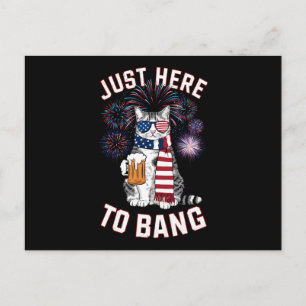 Nur hier, um USA-Flagge-Bier-Katzenliebhaber am 4. Postkarte
