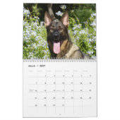 Nur Hirten Kalender (Mär 2027)