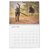 Nur Hirten Kalender (Jan 2027)