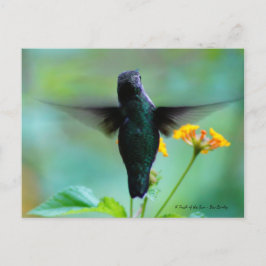 Nur Hummin' By to say Hallo! Postkarte