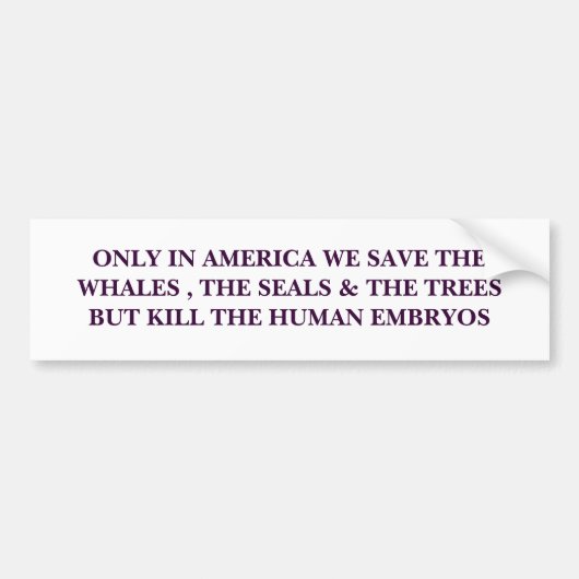 NUR IN AMERIKA RETTEN WIR DIE WALE, DAS SIEGEL… AUTOAUFKLEBER (Vorne)